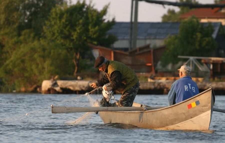 Capturile pescarilor din Delta Dunării, cu 80% mai mici din cauza secetei