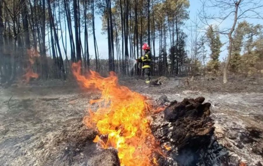 Zeci de pompieri români se LUPTĂ cu flăcările în Franța. Mesaj de mulțumire al localnicilor