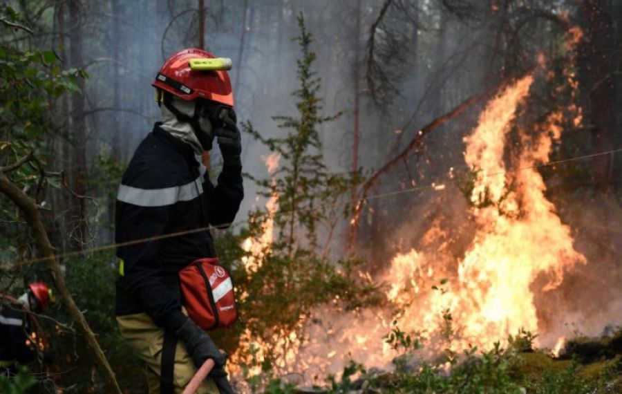 Franța INTERZICE focurile de artificii din cauza incendiilor de vegetație