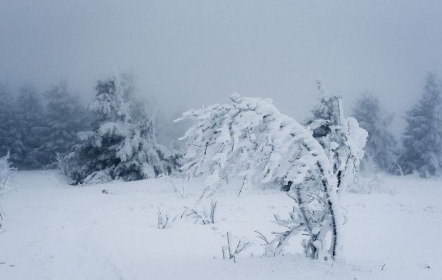 Cod roșu de ninsoare și vânt puternic în zona de munte a județului Cluj