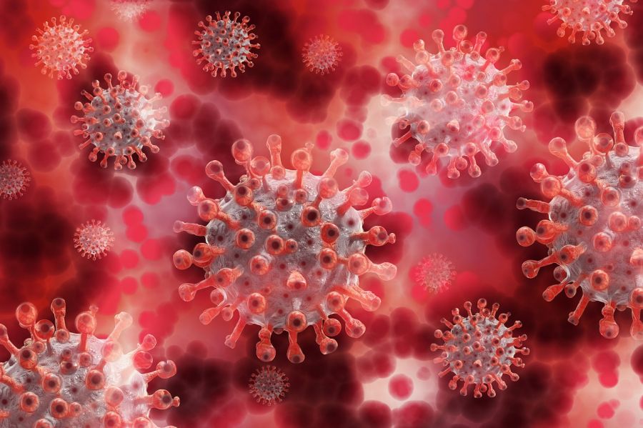 OMS: În curând, COVID-19 nu va fi mai periculos decât gripa sezonieră