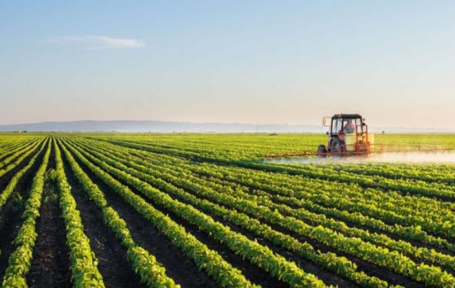 Vești proaste de la agricultori: Producția locală de cereale s-a prăbușit în 2022
