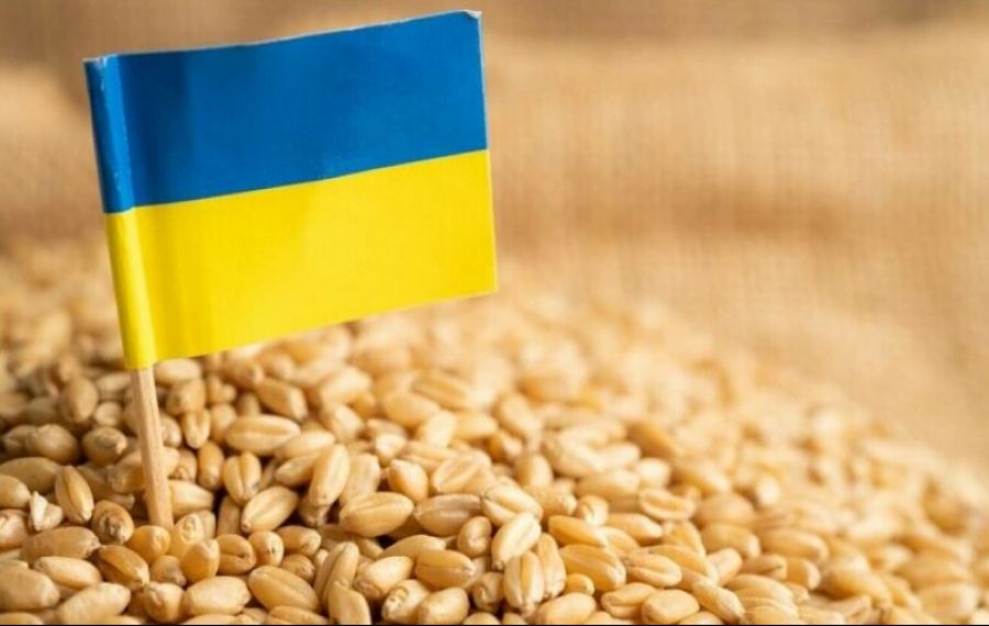 Bulgaria INTERZICE importurile de cereale din Ucraina. Premierul Ciucă mai așteaptă