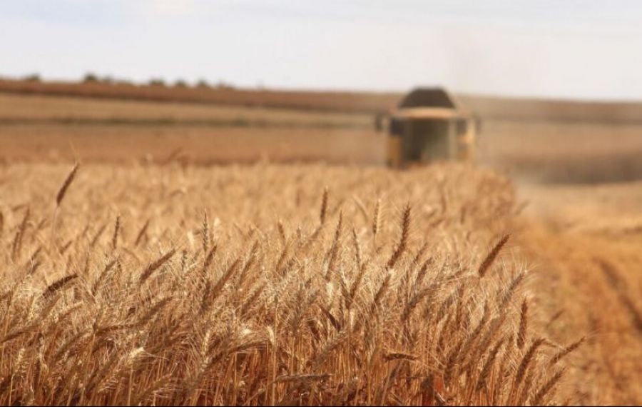 Decizie pentru fermieri: România RESTRICȚIONEAZĂ transporturile de cereale din Ucraina