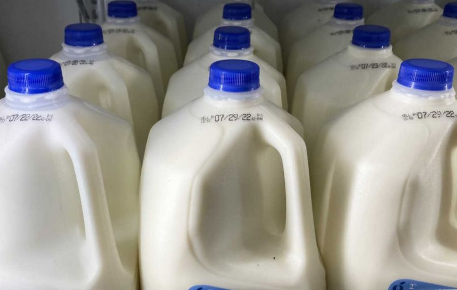 Aproape 80% dintre procesatori participă la acordul voluntar temporar pentru reducerea preţului laptelui
